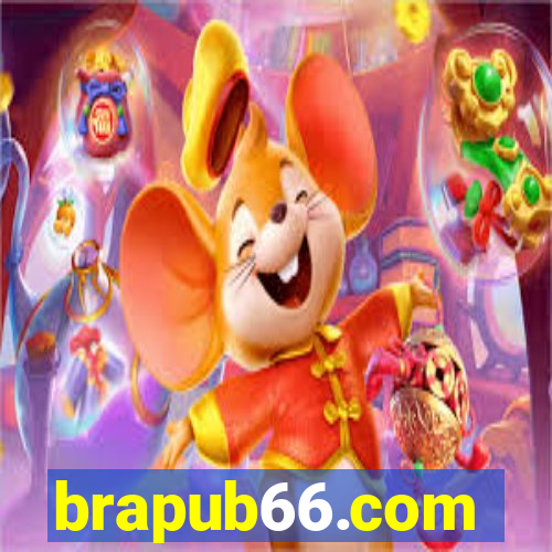 brapub66.com