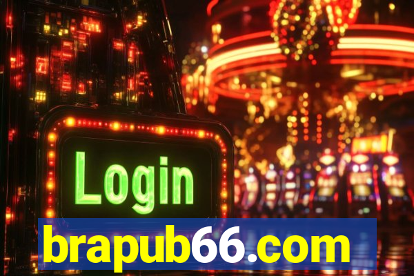 brapub66.com