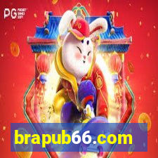 brapub66.com