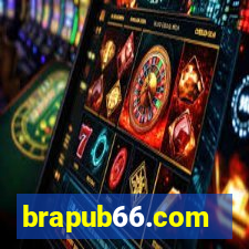 brapub66.com