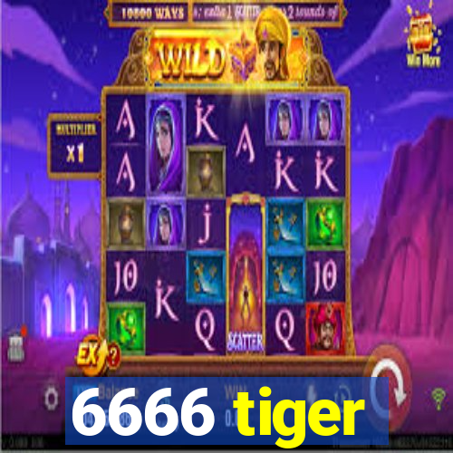 6666 tiger