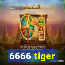 6666 tiger