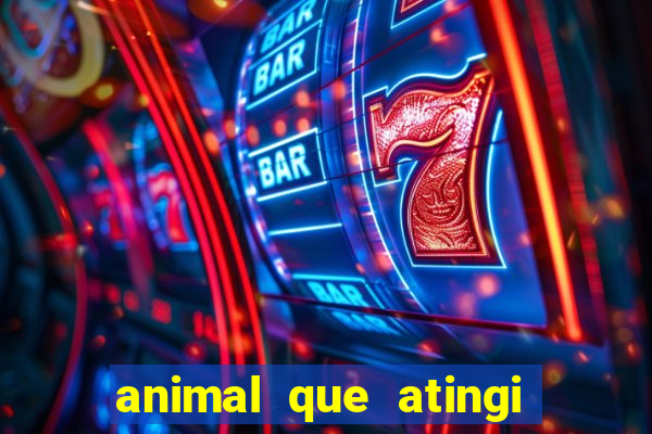 animal que atingi 230 decibeis