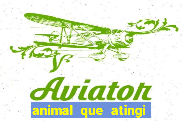 animal que atingi 230 decibeis