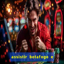 assistir botafogo e avai ao vivo em hd