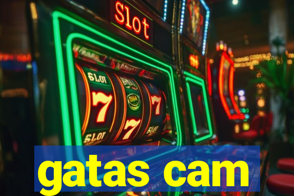 gatas cam