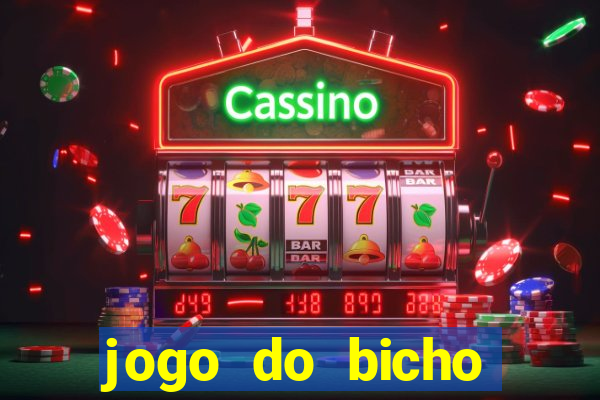 jogo do bicho tipos de apostas