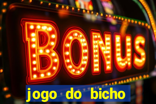 jogo do bicho tipos de apostas