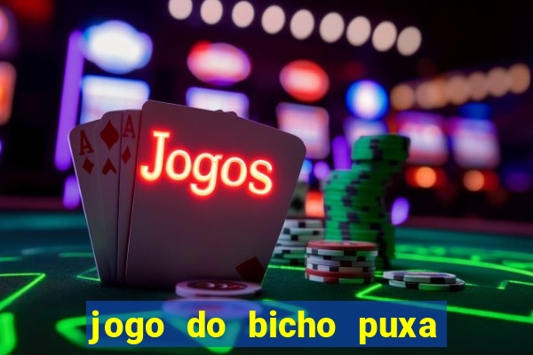 jogo do bicho puxa de dona maria