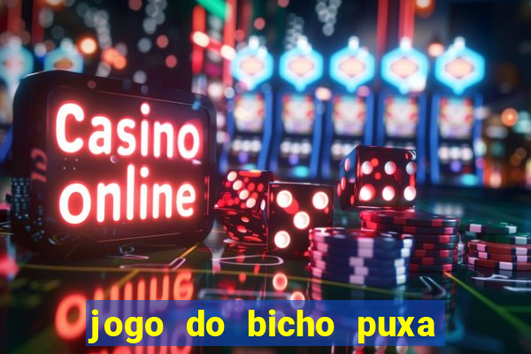 jogo do bicho puxa de dona maria