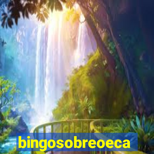 bingosobreoeca