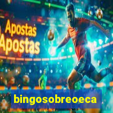 bingosobreoeca