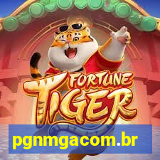 pgnmgacom.br