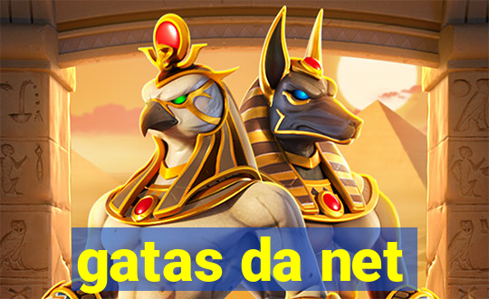 gatas da net