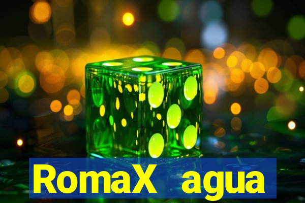 RomaX agua sanitaria fispq agua sanitaria romax