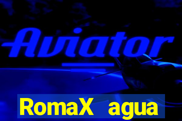 RomaX agua sanitaria fispq agua sanitaria romax