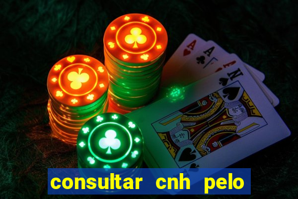 consultar cnh pelo cpf sp