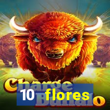 10 flores silvestres da regi o sudeste