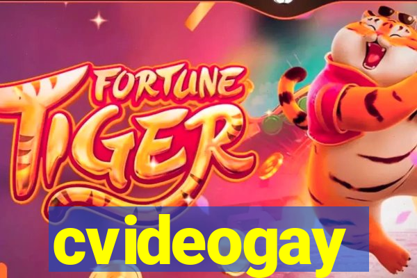 cvideogay