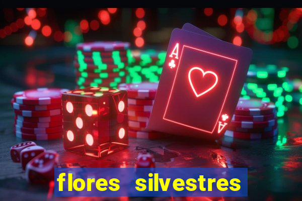 flores silvestres desbravadores desbravadores 25 flores silvestres e seus nomes