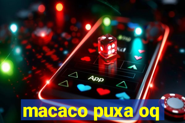 macaco puxa oq