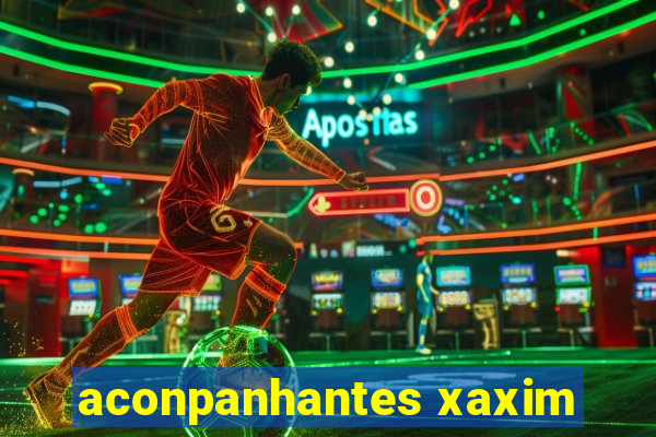 aconpanhantes xaxim