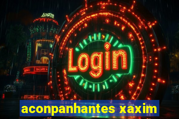 aconpanhantes xaxim