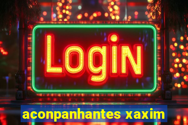 aconpanhantes xaxim