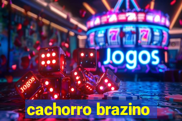 cachorro brazino