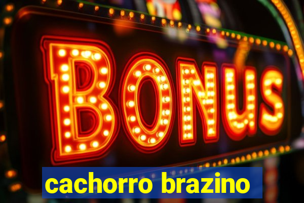 cachorro brazino