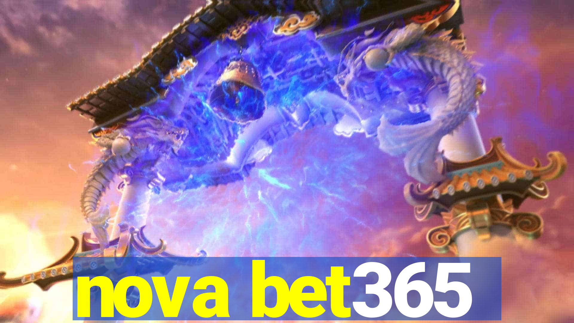 nova bet365