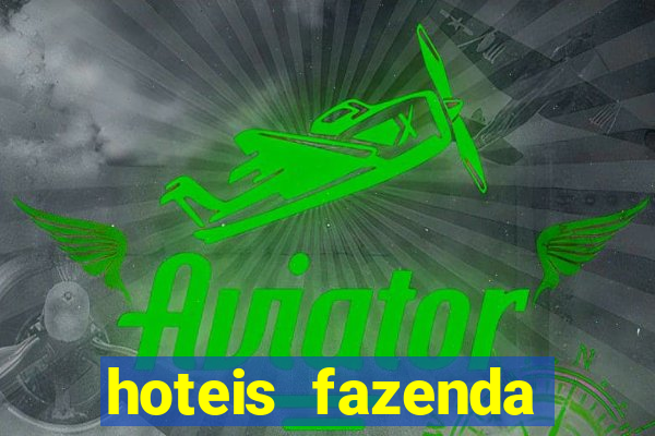 hoteis fazenda porto velho