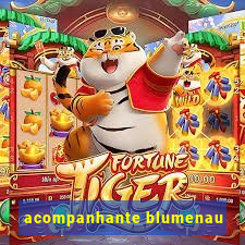 acompanhante blumenau