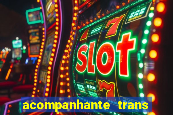 acompanhante trans porto seguro