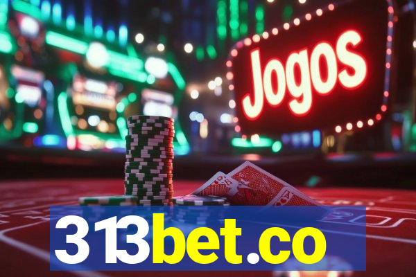 313bet.co