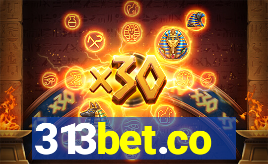 313bet.co