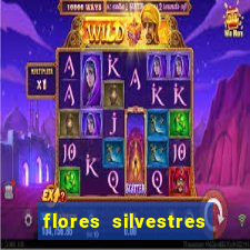 flores silvestres desbravadores desbravadores 25