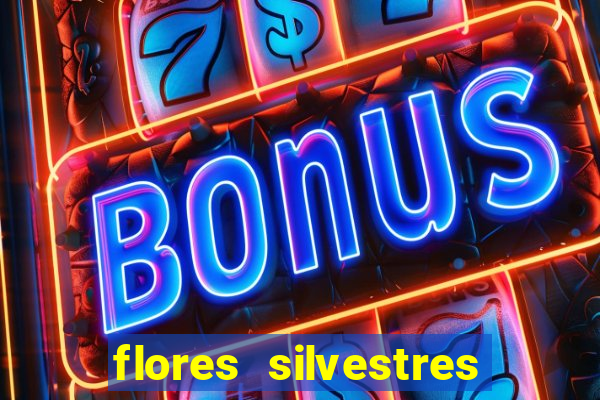 flores silvestres desbravadores desbravadores 25