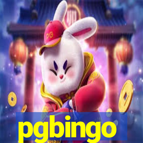 pgbingo