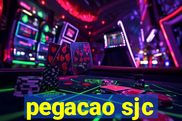 pegacao sjc