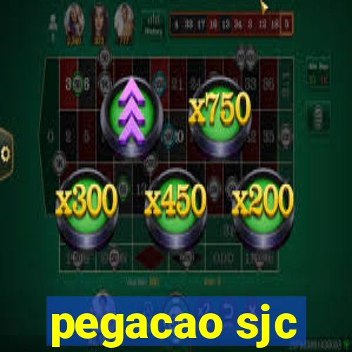 pegacao sjc