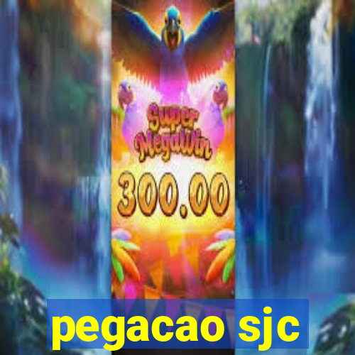 pegacao sjc