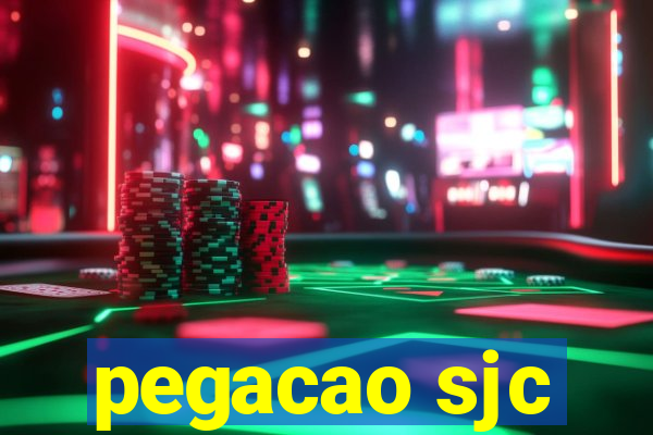 pegacao sjc