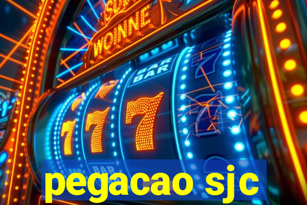 pegacao sjc