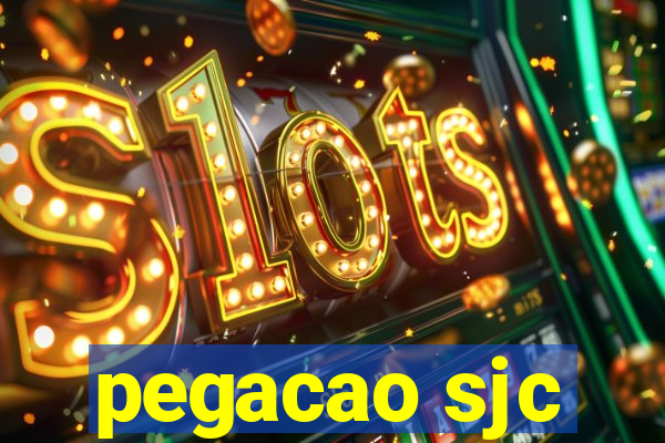 pegacao sjc