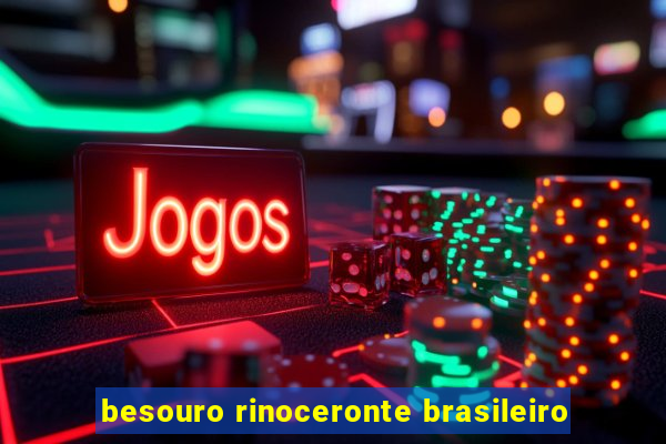 besouro rinoceronte brasileiro