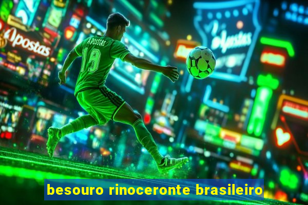 besouro rinoceronte brasileiro