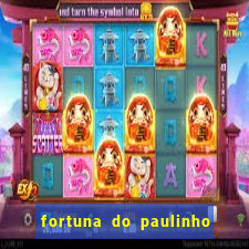 fortuna do paulinho do roupa nova