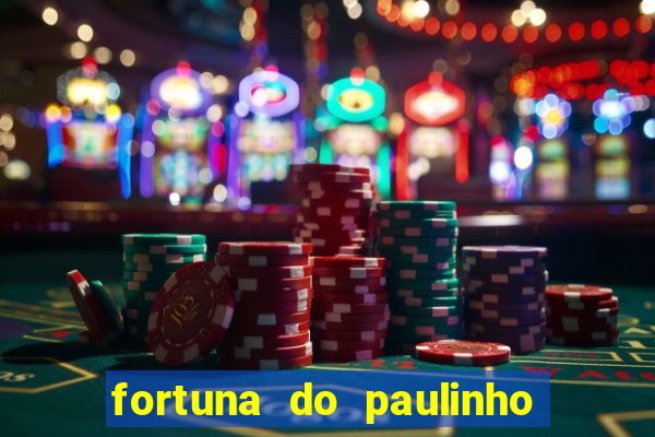 fortuna do paulinho do roupa nova