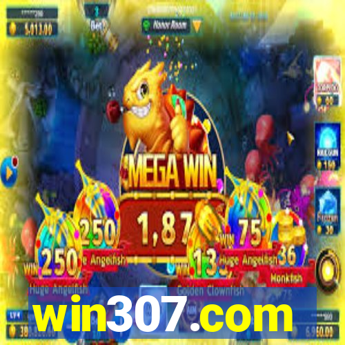 win307.com